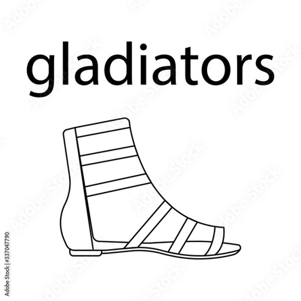 Fototapeta vector flat line icon of woomen designer style gladiators shoes