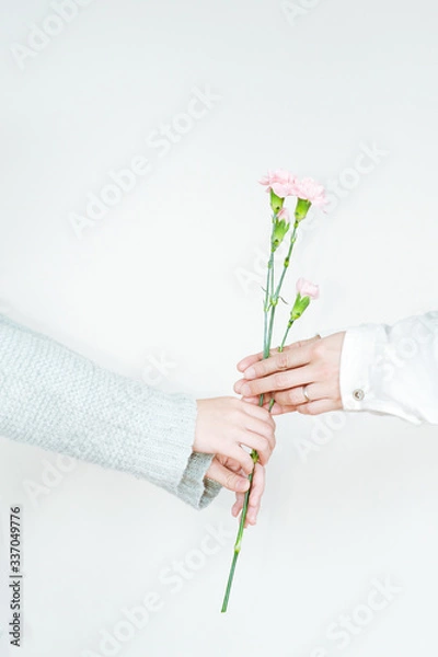 Obraz カーネーションを贈る手