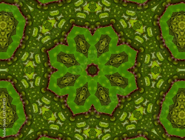 Obraz fractal background

