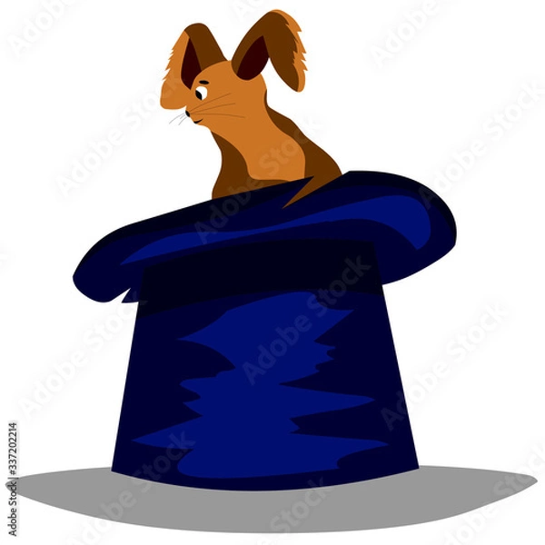 Fototapeta Circus rabbit in a top hat