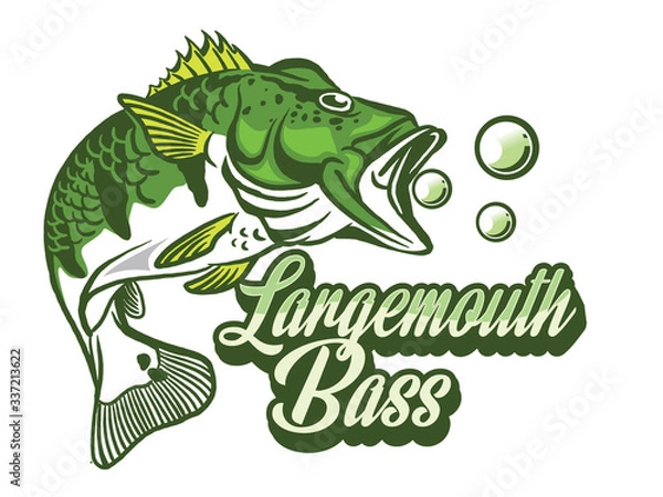 Fototapeta Illustration of a bass with fins, tail and open mouth