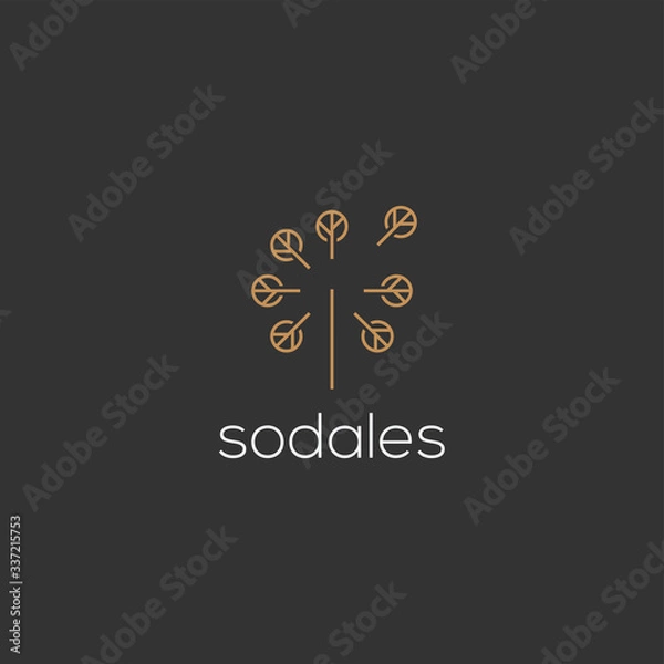 Fototapeta Dandelion logo design icon vector template