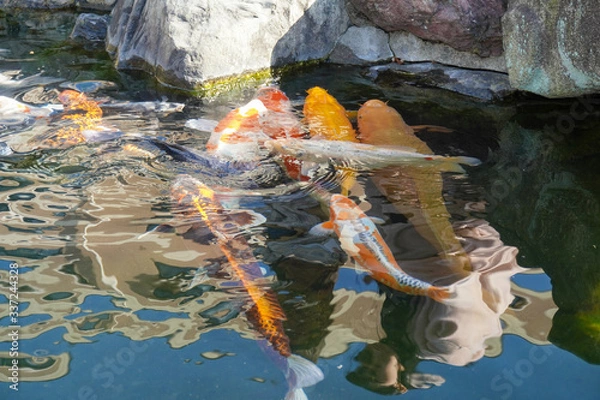 Obraz cave in thailand