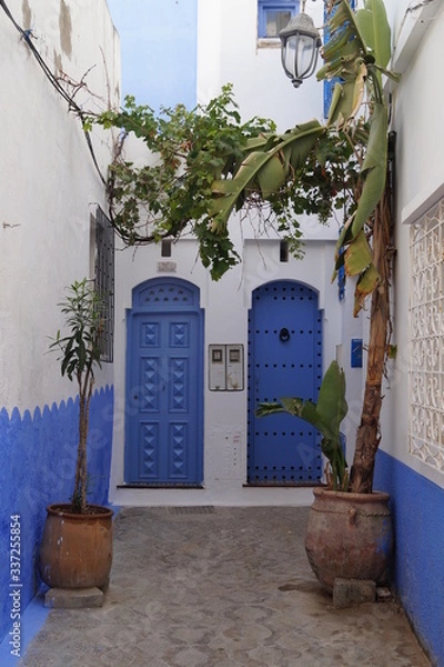 Obraz traditional house