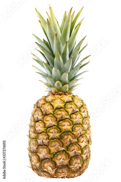 Obraz Fresh pineapple fruit isolated on a white background