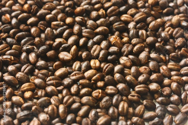 Fototapeta mugicha , roasted barley tea