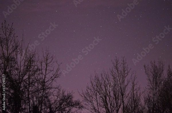 Obraz Cosmic night sky photo with trees