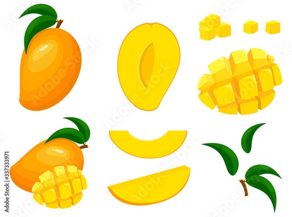 Obraz Set of fresh whole, half, cut slice mango fruits isolated on white background. Summer fruits for healthy lifestyle. Organic fruit. Cartoon style. Vector illustration for any design.