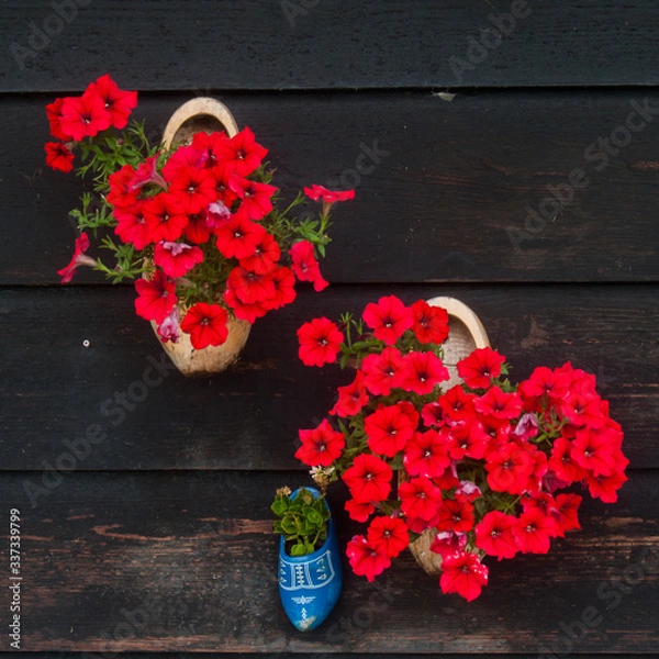 Fototapeta Décoration murale