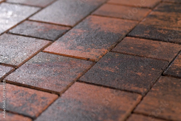Fototapeta paving slabs pavers