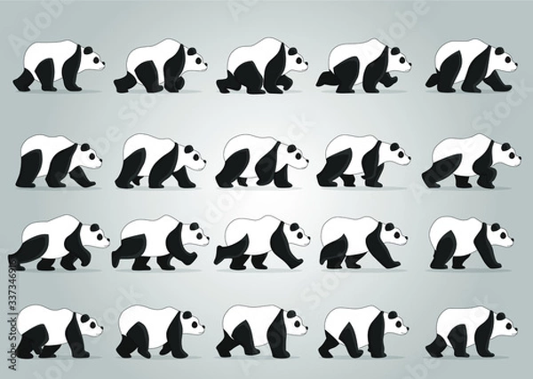 Obraz Panda side walk cycle, Frame by Frame Animation with Grey Background Vector Art design Graphic post icon illustration drawing background poster image graphics