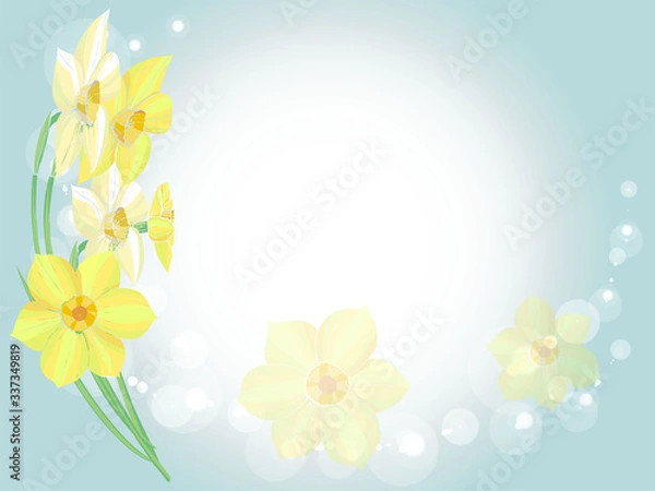 Fototapeta Vector spring background with narcissus flowers - ideally for spring card or certificate template	

