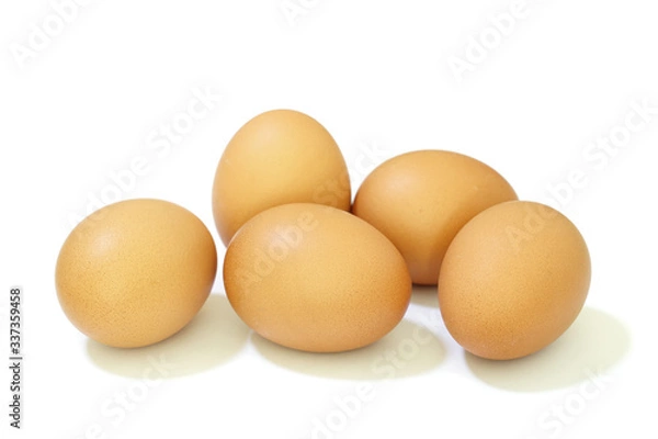 Obraz Brown Egg Isolated on White Background