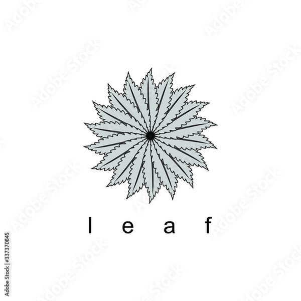 Obraz Leaf flower logo in geometric style design.