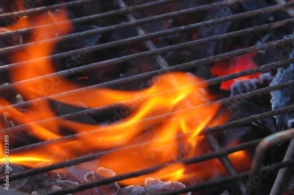 Obraz barbecue grill