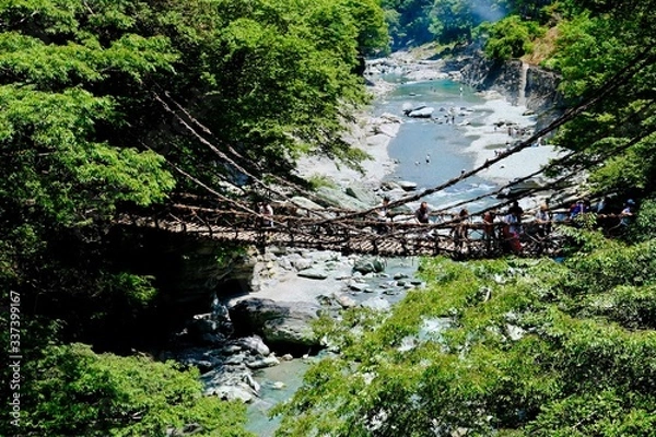 Fototapeta 祖谷のかずら橋