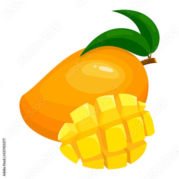 Obraz Fresh bright exotic whole and sliced mango isolated on white background. Summer fruits for healthy lifestyle. Organic fruit. Cartoon style. Vector illustration for any design.