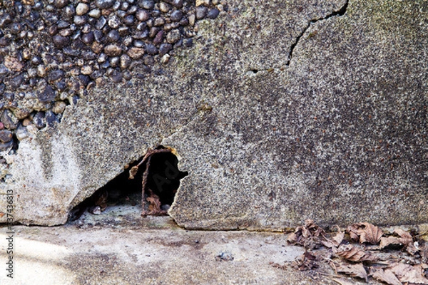 Fototapeta Hole under a concrete step an appealing nest place for animal; grunge texture with rocks, cracks and leaves