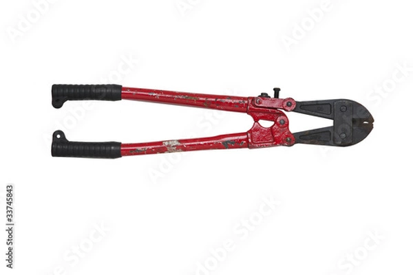 Obraz Bolt Cutter