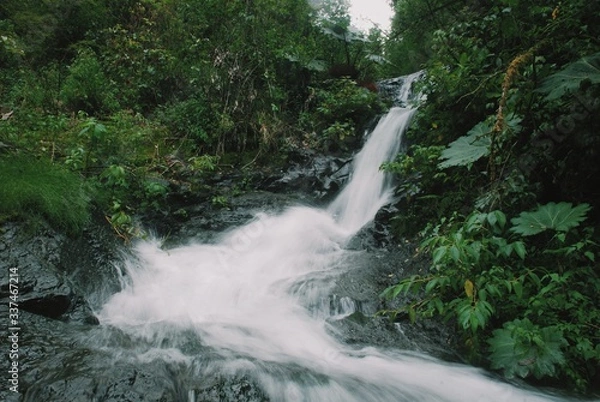 Obraz Larga Catarata.
