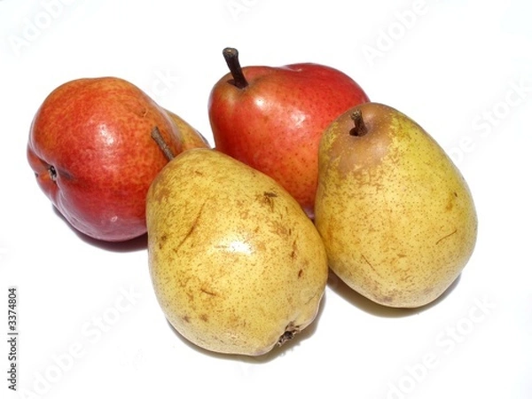 Obraz poires