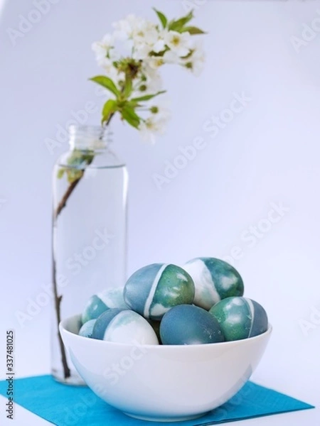 Fototapeta Blue, green, turquoise and white homemade easter eggs colored with a red cabbage natural colour on a white background with blank space decorated with spring flowers in a white bowl closeup.