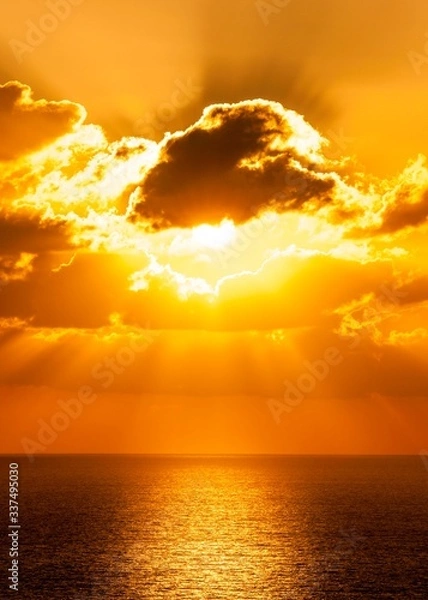 Obraz sunset in the ocean