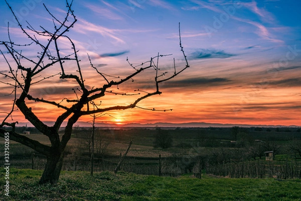 Fototapeta zachód słońca