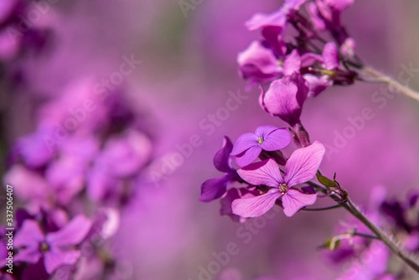 Fototapeta Farbenspiel 