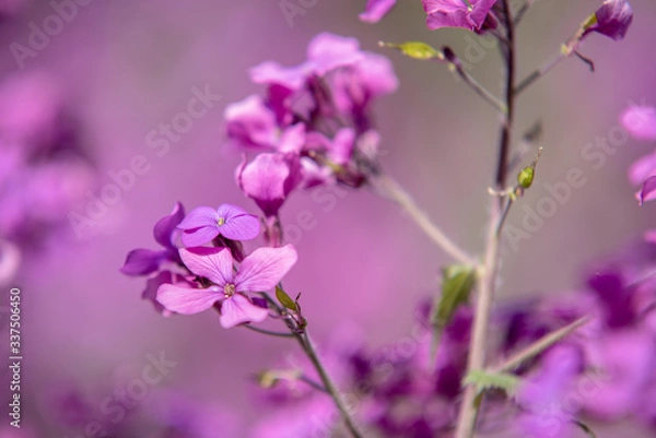 Fototapeta Farbenspiel 