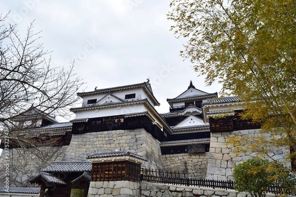 Fototapeta 愛媛県松山市「松山城」