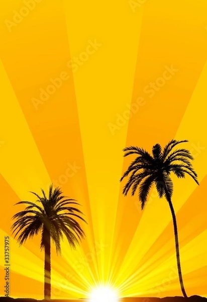 Obraz Summer tropical background