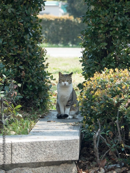 Obraz OLYMPUS DIGITAL CAMERA