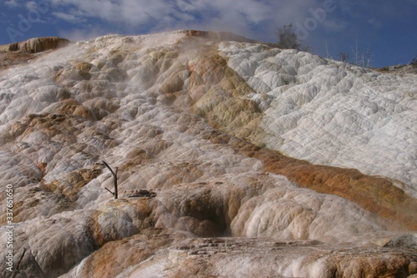 Fototapeta Pallete Spring
