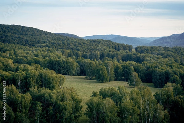 Fototapeta Sunset in the mountains, forest view