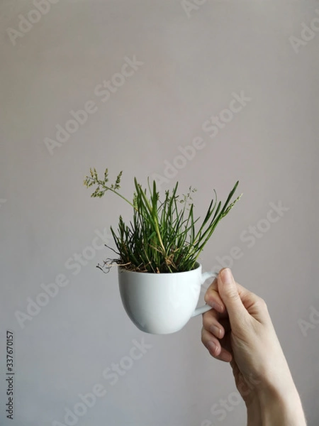 Obraz Mug with grass in the hand