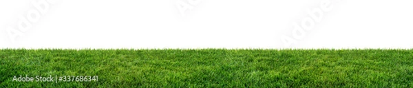 Fototapeta green grass field isolated on white background