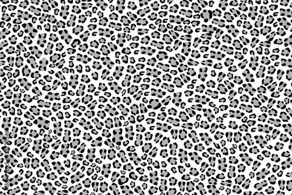 Obraz Leopard skin background.Vector illustration.