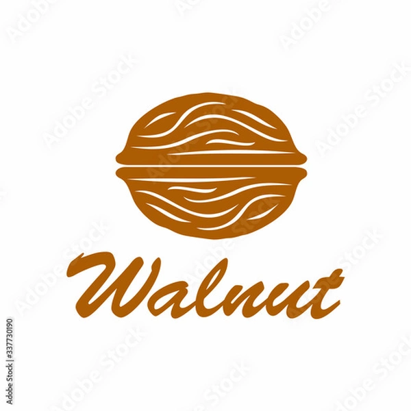 Obraz Walnut Vector Icon