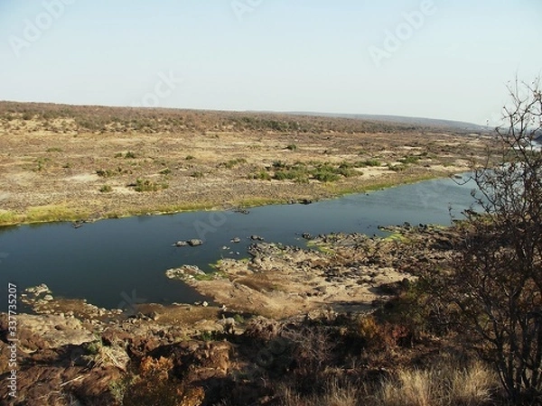 Obraz The elephant river