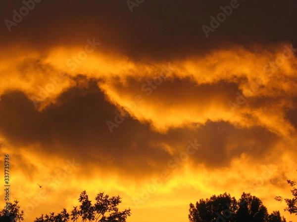 Obraz A golden sunset