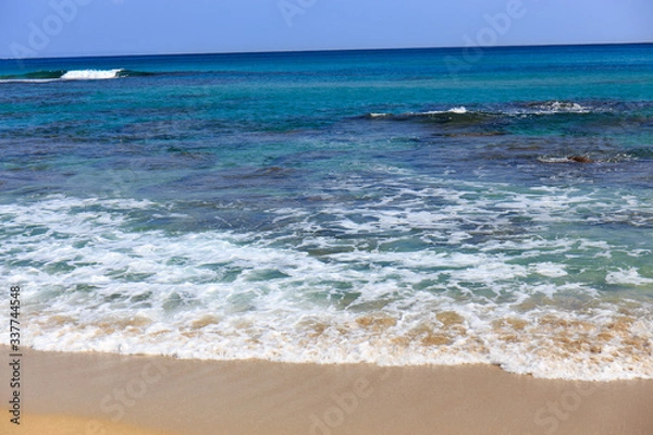 Fototapeta 蒼い海から打ち寄せる波 #2