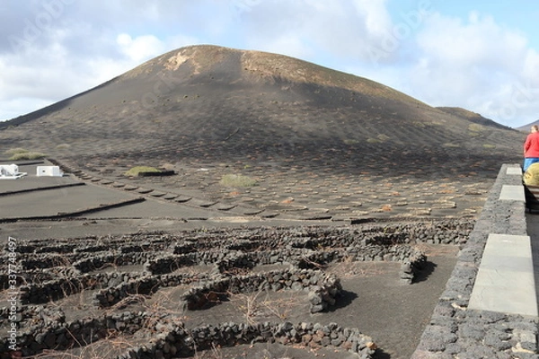 Obraz Winnica Lanzarote