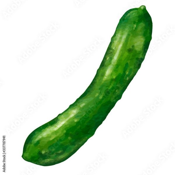 Obraz きゅうり　胡瓜　キュウリのイラスト