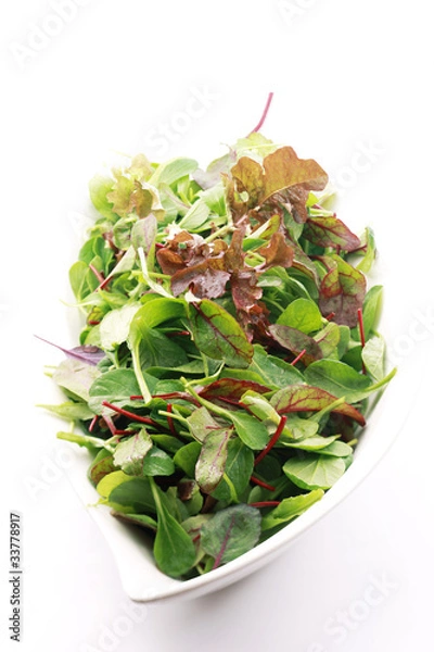 Obraz ベビーリーフ