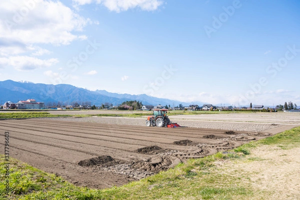 Fototapeta 春の畑の風景