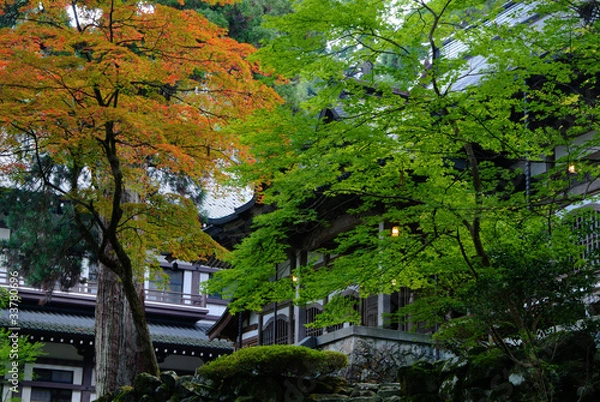 Fototapeta 永平寺