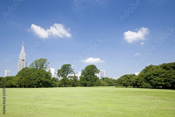 Obraz 庭園と高層ビル群