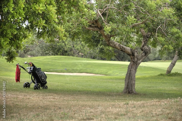 Obraz Carrito de golf