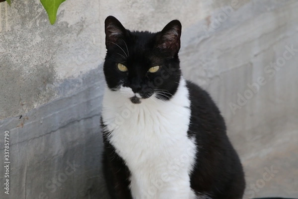 Fototapeta Deep Look